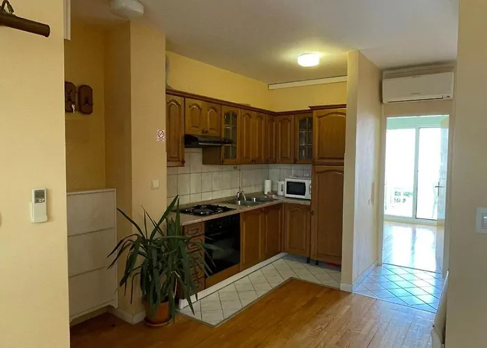 Center Dobri Apartment *