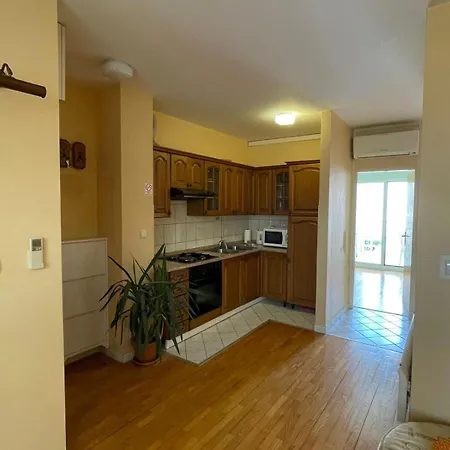 Center Dobri Apartment *